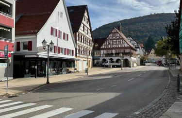 Fewo Unter'm Rosenstein, Heubach - Foto 24