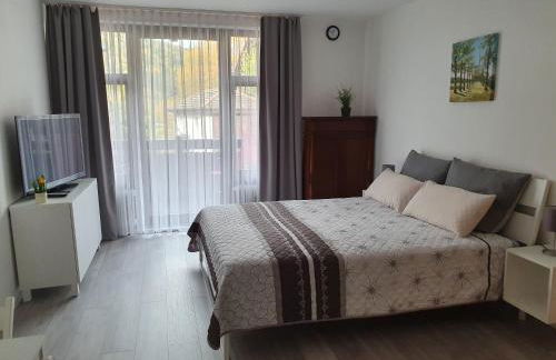 Gemütliche Ferienwohnung am Kurpark in Bad Herrenalb - Foto 1