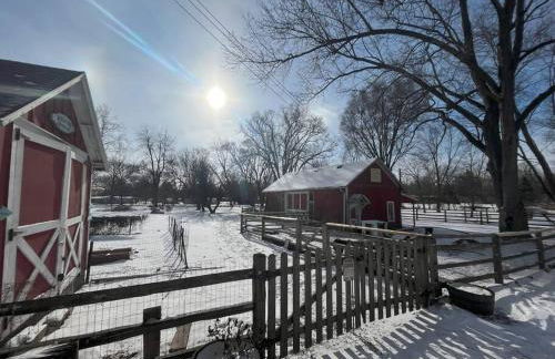 The Goat Farm - Foto 39