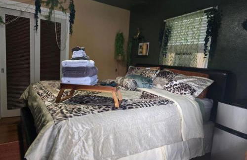 Jungle Oasis By Busch Gardens USF and Amphitheater - Foto 8