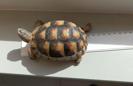 Casa Mariuccia - Foto 65