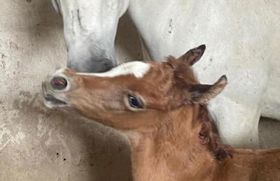 Agriturismo Santa Lucia - Foto 45