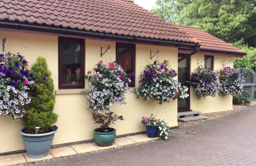 The Mendip is on cheddar bridge Apartments - Foto 1