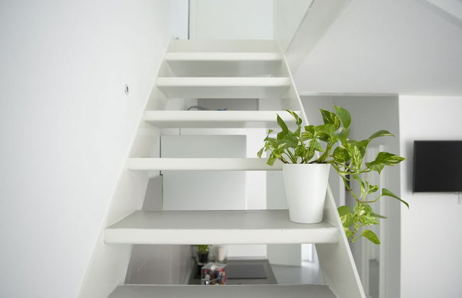 Ortiquattro - Photo 32