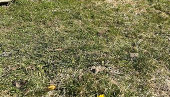 Bieszczady ClaraArt - Foto 5