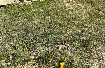 Bieszczady ClaraArt - Foto 5