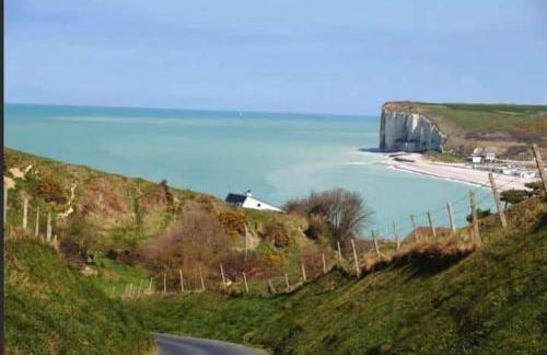 les Albatros - Foto 25