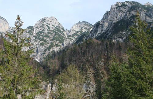 Cave Trieste Apartments - CaTs Apartments - Photo 32