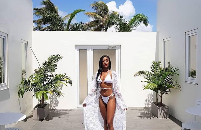 The Palm Leaf Apartments - Foto 14