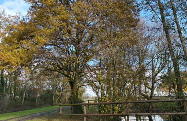 La Maison de l'Etang - Photo 2