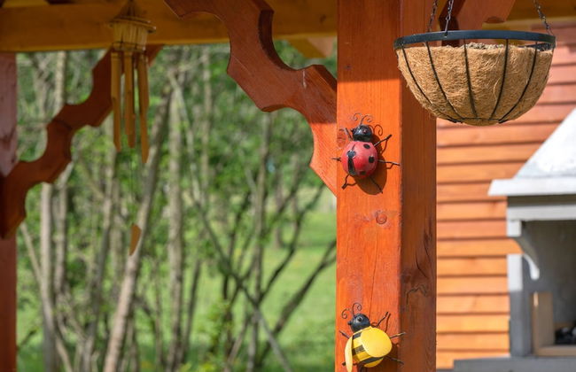 Robinzonski Kamp Hofman - Foto 34