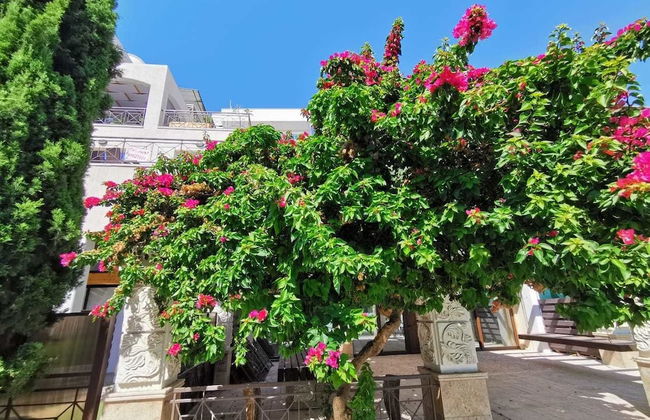 V.I.P. Galatex - Foto 43