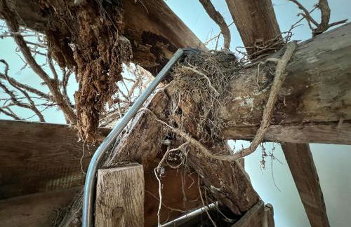 Croft Lodge Studio - Foto 20