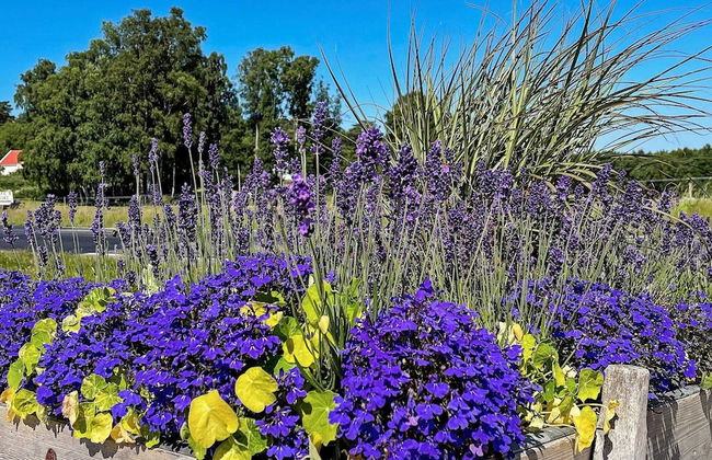 4 Person Holiday Home in Ellos-by Traum - Foto 18