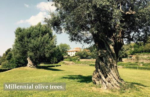 Celebration or Event & Stay at Casa dos Macieis, Private Pool, Camino Santiago direct access & Optional Agritourism - Foto 46