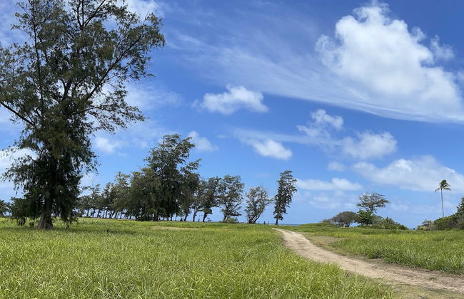 Kauai Plantation Hale Suites by Coldwell Banker Island Vacations - Foto 60