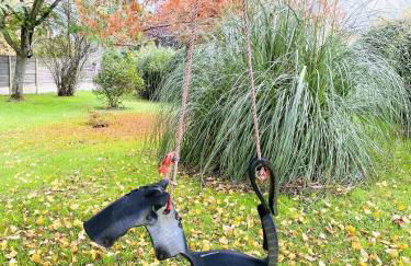 Domaine de la Ronce - Foto 31