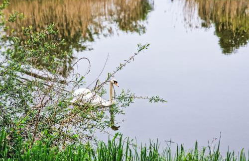 Holiday Home Tiny Haus am Altmühlufer by Interhome - Foto 24