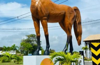 Village in Barra de Jacuipe - Foto 20