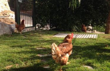 Agriturismo da Luì - Foto 33