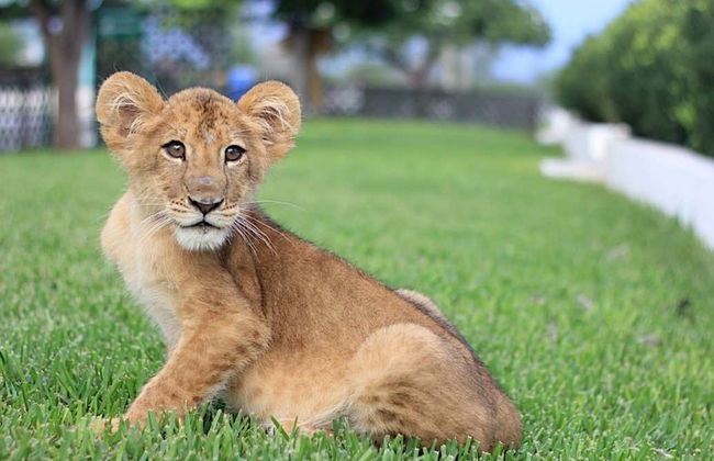 Excursion au centre écologique Xenpal - Photo 8