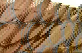 Visita a las bodegas Silvano García - Foto 1