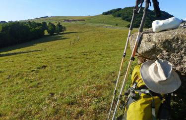 Gite le GINKGO 50 M2 - Foto 42