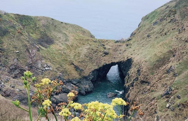 Cowshed Cottage Located nr Kynance Cove - Foto 9