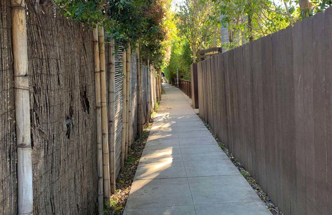 Visite de Venice Beach - Photo 8