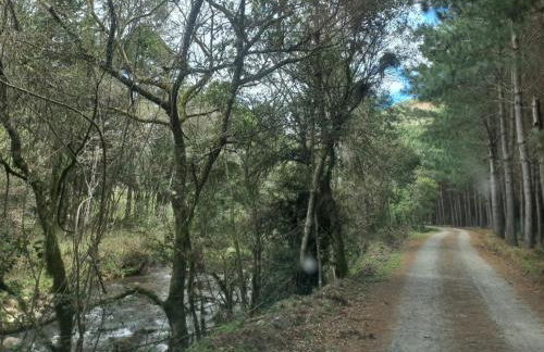 Cabana Rustica com Hydro, Recanto das Trutas, SC - Photo 7