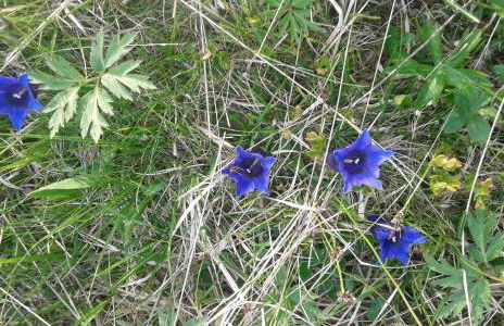 "LA TAVERNA" B&B - Foto 49