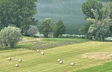 ALTRAVISTA TARZO - Foto 63