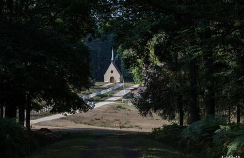 Gîte du Parc Animalier de Boutissaint - Foto 13