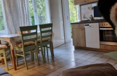 Ferienhof Bisdorf "Schwülkennest" Reihenhaus - Foto 8