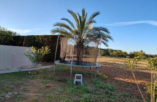 Can Joan Yern - Foto 5