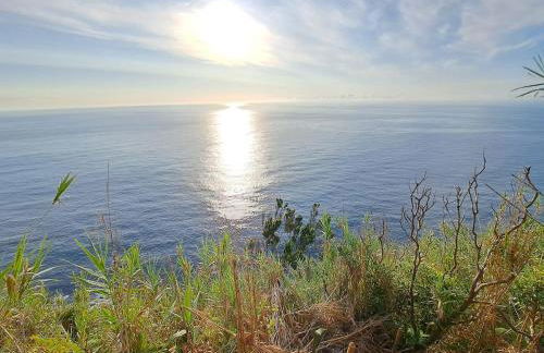 LUXURY CASA MILA Pure Azores - Photo 70