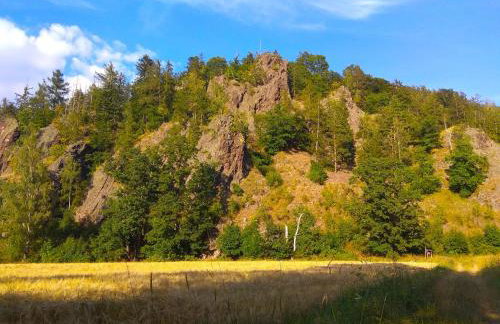 Pod klonem z Balią i Sauną - Foto 15