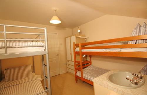 David's Organic Farm Wales - Foto 30