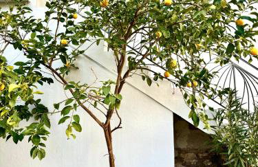 Downtown apartment - Premium - Foto 37