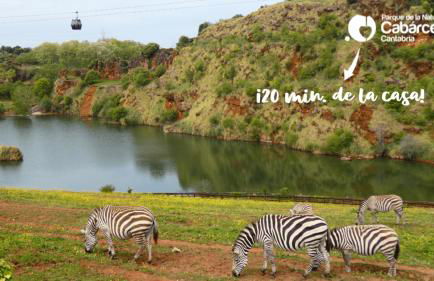 "LAS CAMELIAS SOMO" un lugar para desconectar!! Vistas al MAR!! - Foto 51