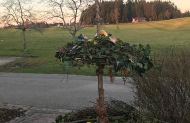 Wald & Wiesen Landhaus Kurzemann - nahe Bodensee - Foto 39