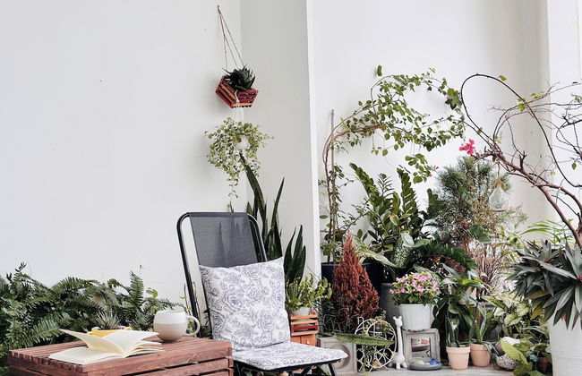 Cloudy Homestay Hoi An - Foto 68