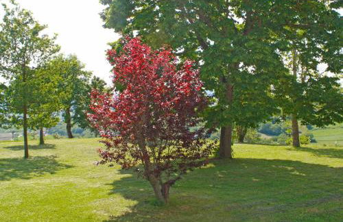 Holiday Home Montebello by Interhome - Foto 15