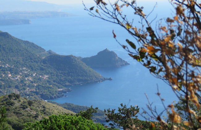 Bungalow in Maratea With Pool Near Beach - Photo 41