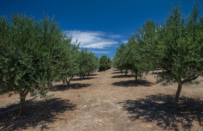 Casa del Sol Syros - Foto 33
