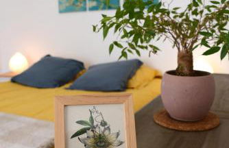 Le pied-à-terre du botaniste - Foto 3