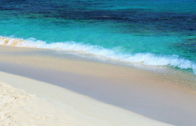 Tour del sud di Bonaire - Foto 1