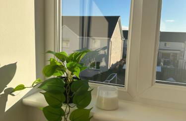 Black Daisy - Foto 40