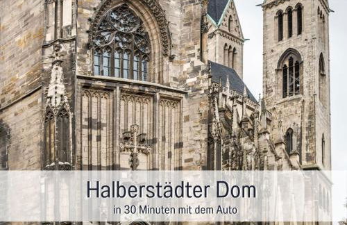 Ferienwohnung - Vakantiewoning- Perle am Teich- mit Klimaanlage- direkt am Selketal- ideal für Fahrradfahrer und Wanderer- perfekt für eine Auszeit vom Alltag - Foto 45