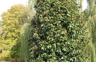 Casa villetta "La Colomba" Nizza Monferrato - Foto 22